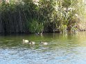 2016-10-06 11-22-01 Parc de la Courneuve DLe